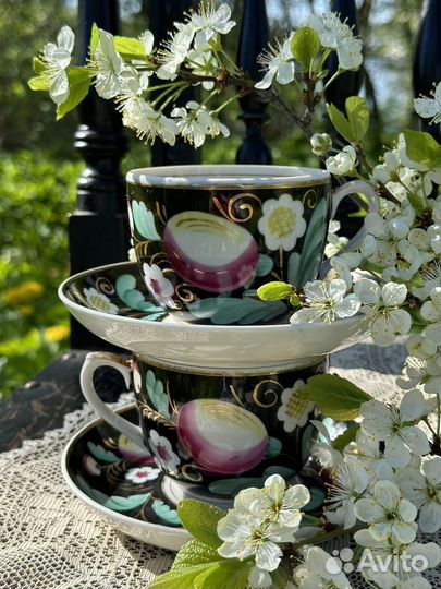 Чайная пара Вербилки слива