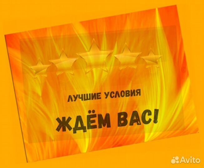 Жиловщик мяса Вахта Жилье+Еда Еженедельный аванс М/Ж