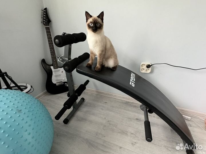 Скамья для пресса с изгибом Atemi