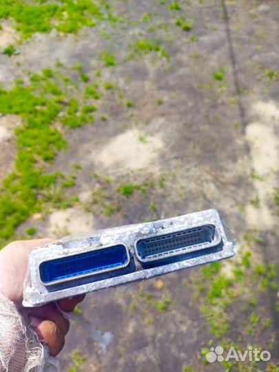 Opel эбу мозги