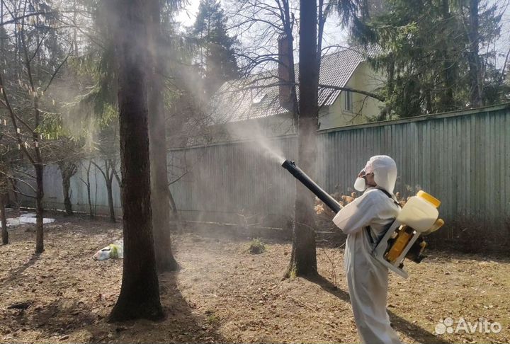 Уничтожение клопов/слизней/короеда/комаров/ос/мух