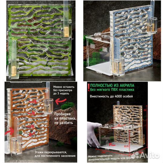 Муравьиные фермы, доставка