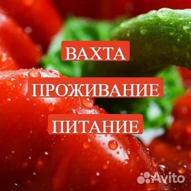 Укладчики.Вахта.Проживание.Питание