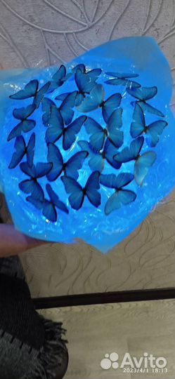 Букет - бабочки