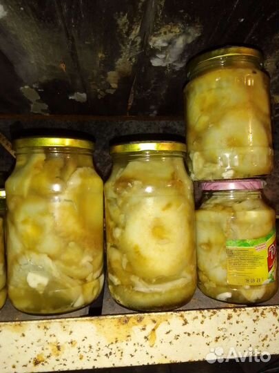 Грибы соленые