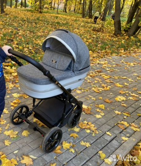 Коляска 2 в 1 Adamex Rimini