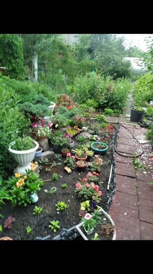 Дача 40 м² на участке 4 сот.