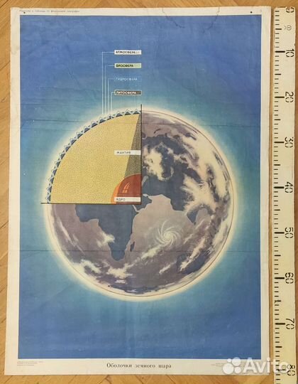 Плакаты (таблицы) учебные (биология) ч.2