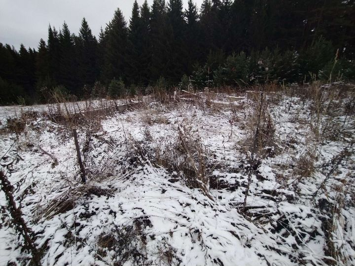 Участок 22,5 сот. (ИЖС)