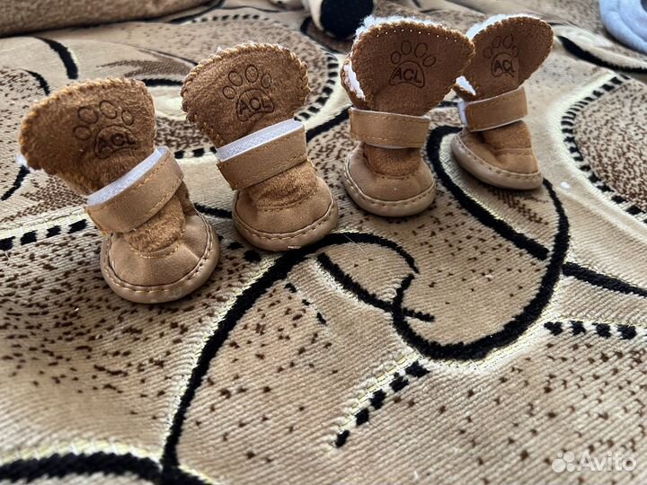 Одежда для собак