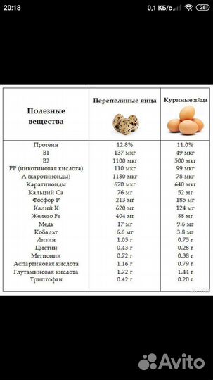 Перепелиное яйцо