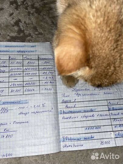 Пишу конспекты быстро