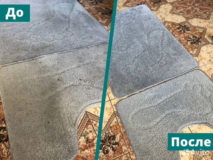 Моющий пылесос karcher в аренду