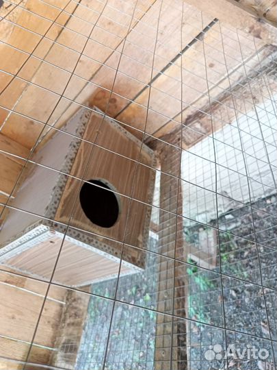 Клетки для кроликов