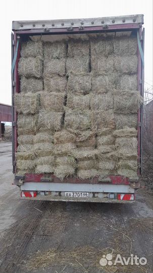 Сено луговое в тюках