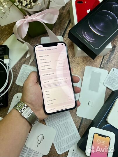 iPhone 12 Pro Max, 256 ГБ