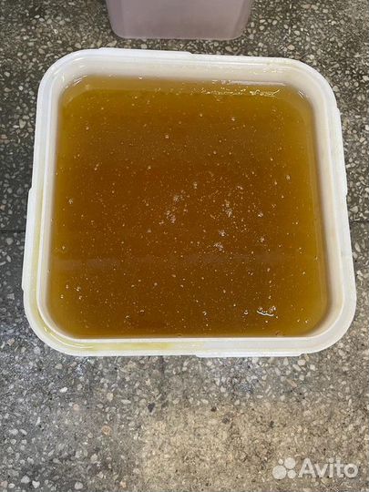 Свежий мёд оптом Цветочный Опт