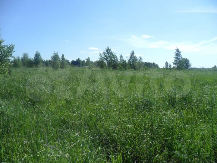 Участок 30 сот. (СНТ, ДНП)