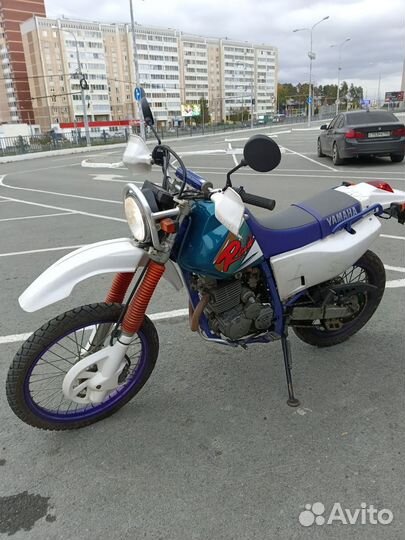 Yamaxa TTR250R Raid