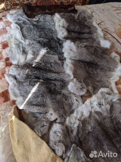 Шкурки кролика