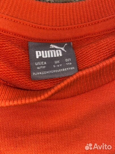 Костюм спортивный Puma 116