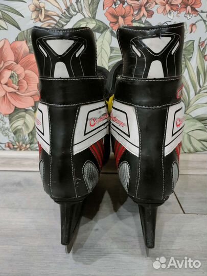 Коньки мужские iceberger