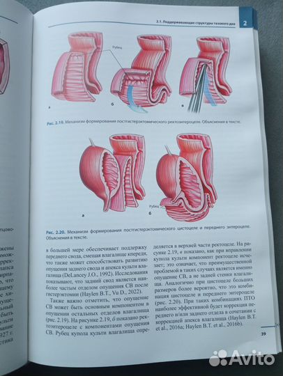 Женская тазовая медицина / медицинская литература