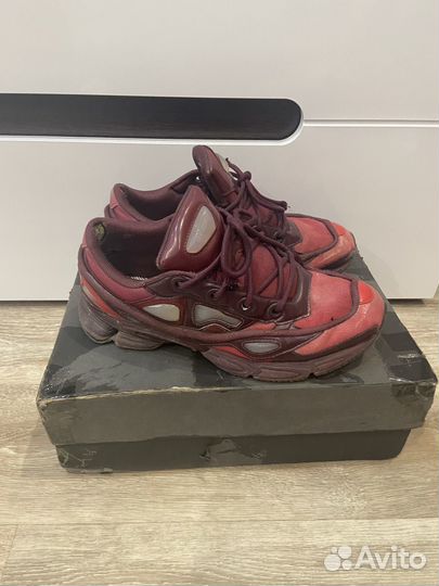 Raf simons ozweego