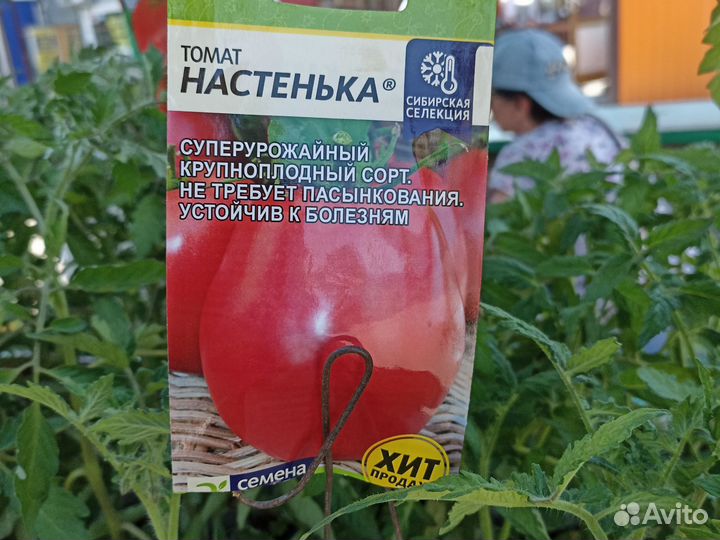 Рассада томатов и перца