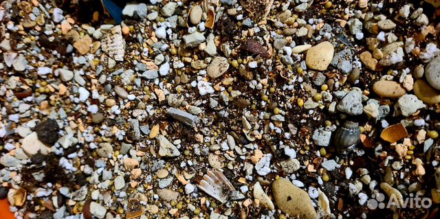 Грунт для кактусов, суккулентов