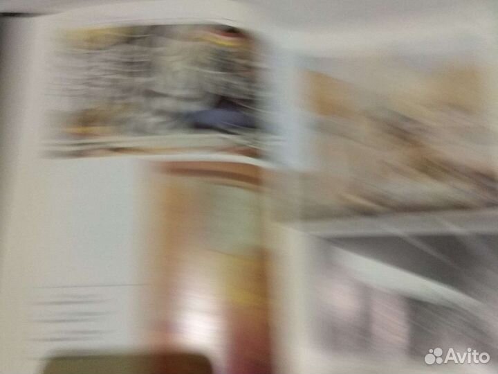 Двадцатый век В.М. Полевой