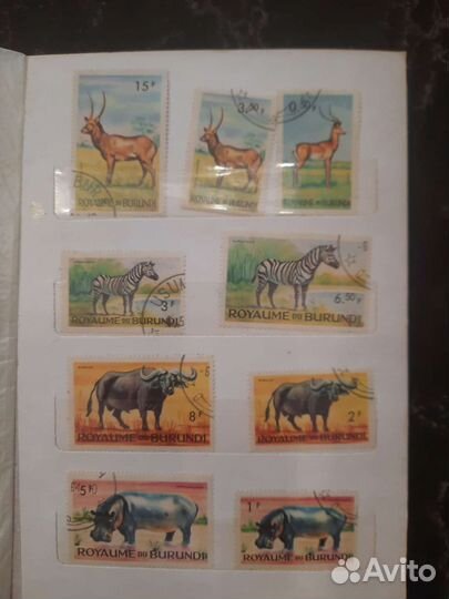 Коллеционная этикетка