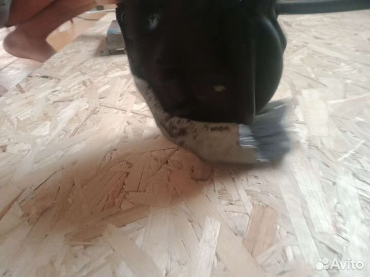 Трамблер honda инспаер G25A