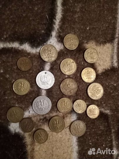 Монеты