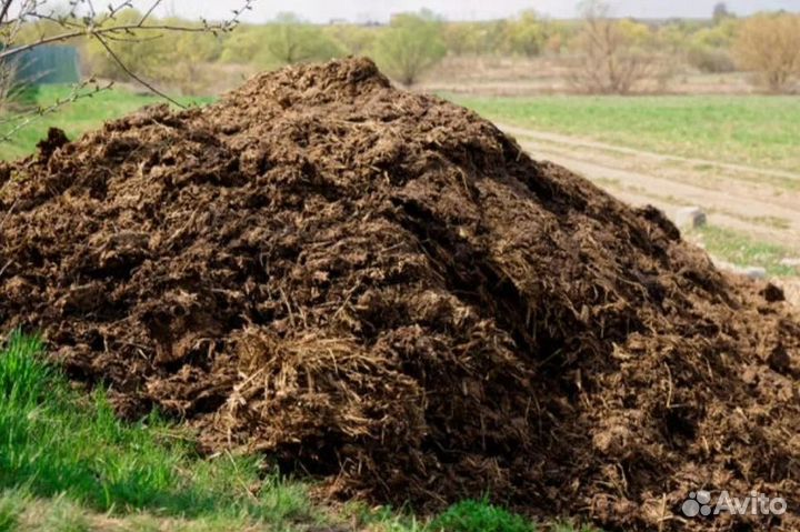 Перегной 2-3г чернозем -качество Навоз коровий газ