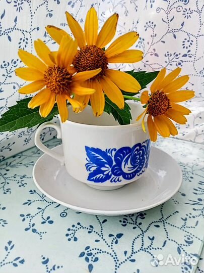 Чашка с блюдцем В наборе 6 шт. дулево +2 в подарок