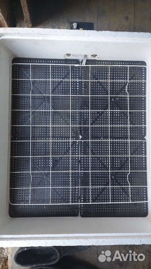 Инкубатор несушка