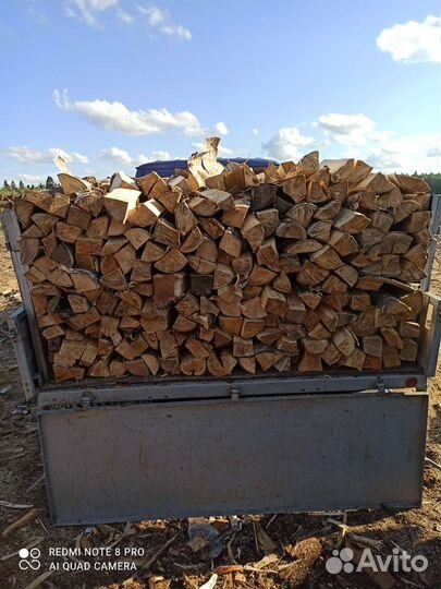 Дрова березовые колотые