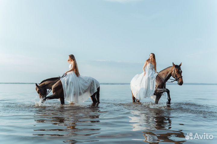 Профессиональная фото и видеосъемка