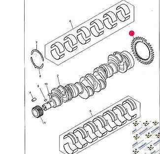 Шестеренка коленвала Perkins