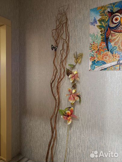 Корилус ветки