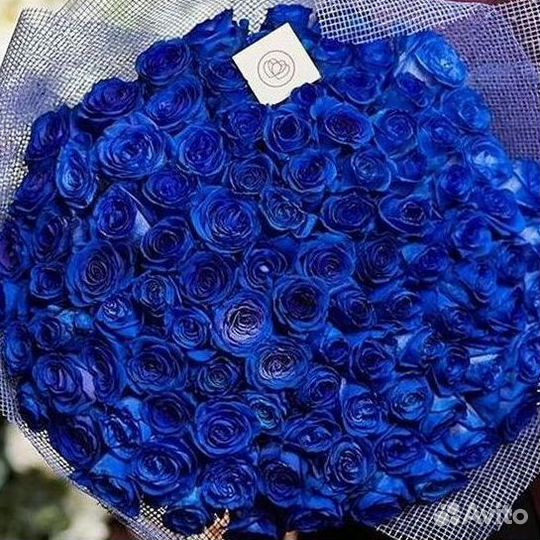 Синие розы Доставка цветов