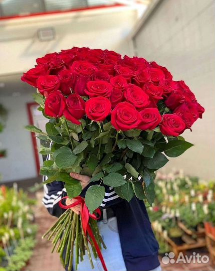 Метровые розы 110 120 130 140 150 Доставка цветов