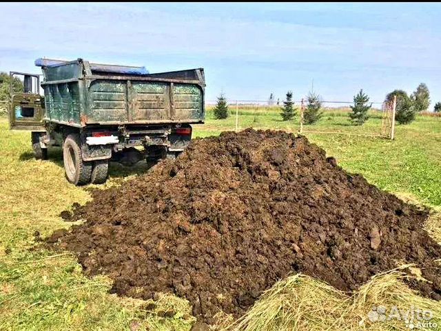Перегной Навоз с доставкой