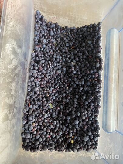 Черника замороженная