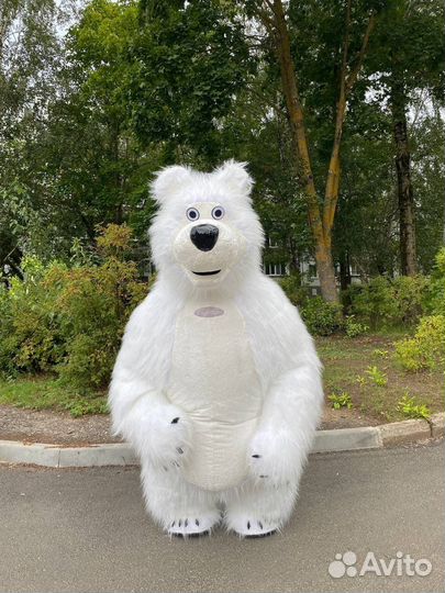 Аэрокостюмы,ростовые куклы