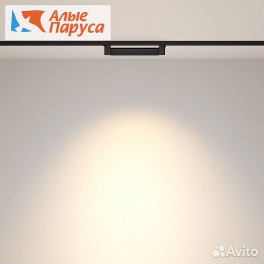 Трековый светильник Maytoni Points