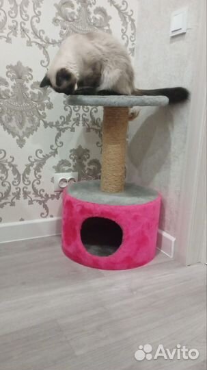 Домик для кошки