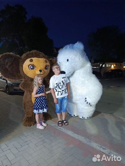 Экспресс поздравления мишки и Чебурашки