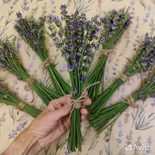 Букетик лаванды